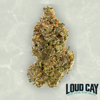Tahoe Gelato Fuel Loud Cay