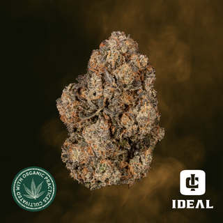 Blue Super Lemons Ideal Cannabis