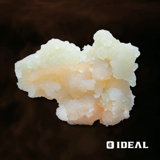 Bolo Runtz Ideal Cannabis