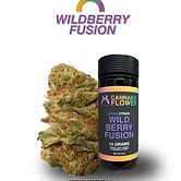 Wildberry Fusion urbanXtracts