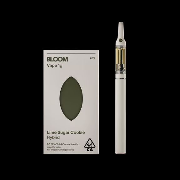 Lime Sugar Cookie - Live Bloom Lime Sugar Cookie - Live Bloom