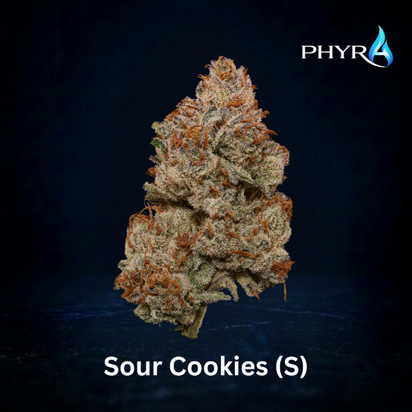Sour Cookies Phyra