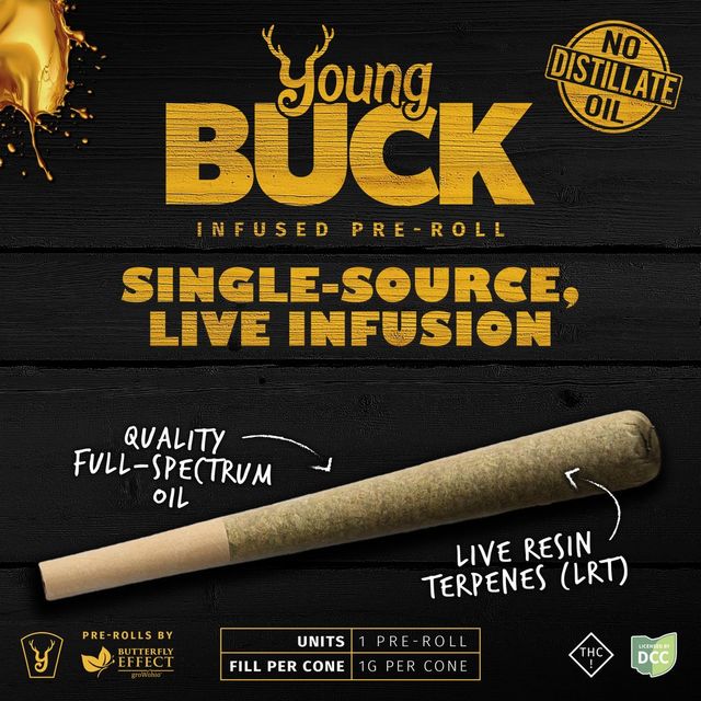 SLH Young Buck
