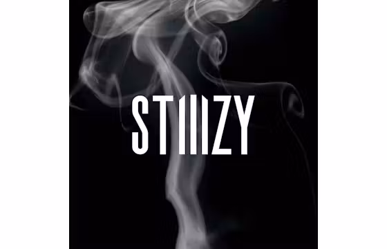 STIIIZY OG Battery Starter Kit - Assorted Colors