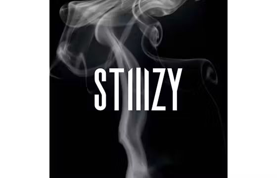 STIIIZY BIIIG Battery Starter Kit - Gold STIIIZY