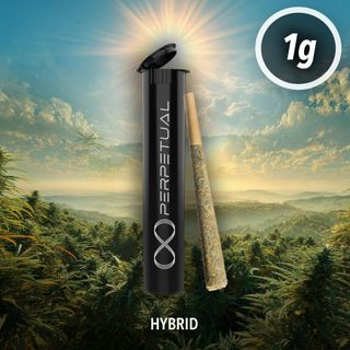Cookie Stash 1G Pre-Roll PERPETUAL