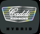 Caddi Rainbows | Rellos Infused 93 Boyz Caddi Rainbows | Rellos Infused 93 Boyz