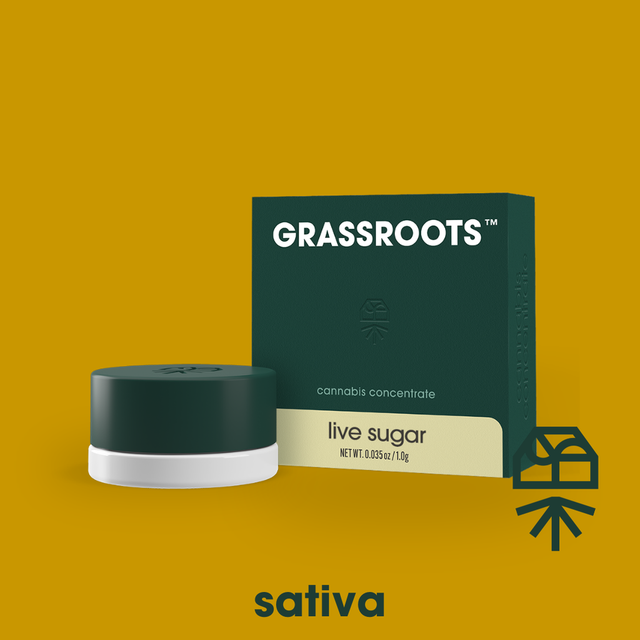 Baya Dulce Grassroots Baya Dulce Grassroots