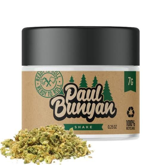 Coco Corvette Paul Bunyan
