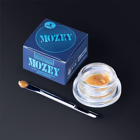Creme Brulee Mozey Creme Brulee Mozey