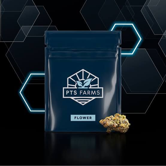 Cocomamba Pts