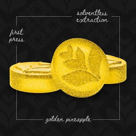 Golden Pineapple Tangieberto Floracal Golden Pineapple Tangieberto Floracal