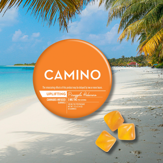 Pineapple Habanero Camino