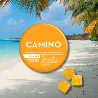 Mango Serenity 1:1 THC:CBD Camino
