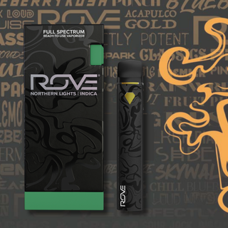 Northern Lights  Rove