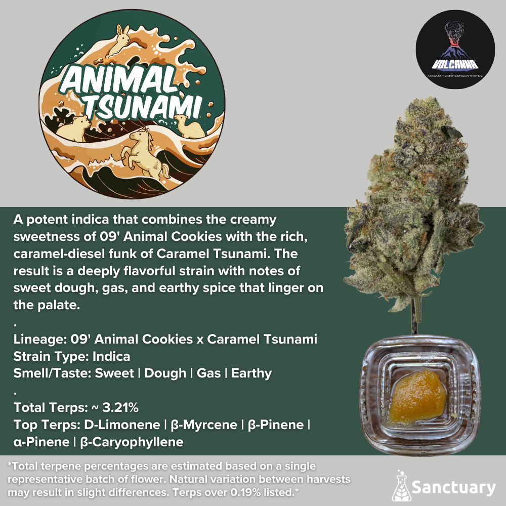 Baller Jar - Animal Tsunami - Cured Resin