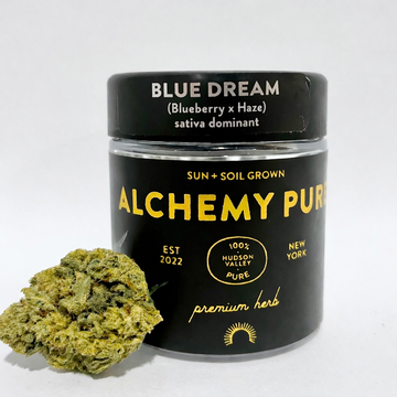 Blue Dream