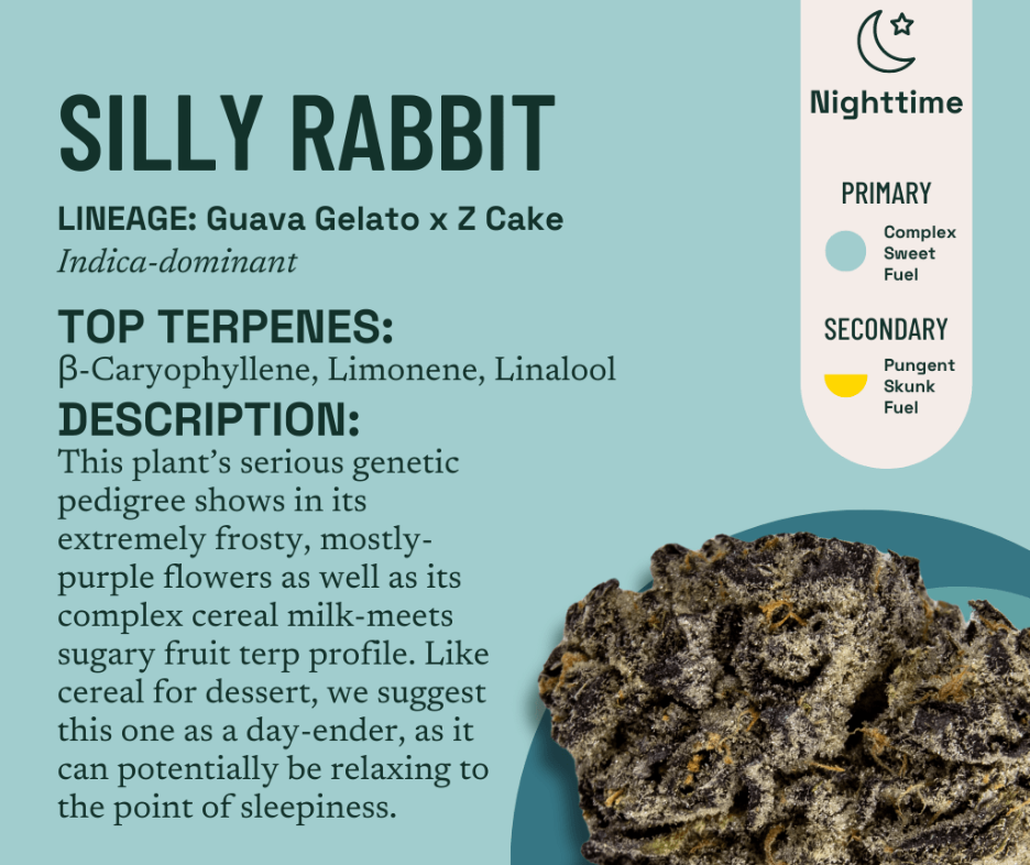 Silly Rabbit