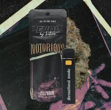 Notorious #1 Evol