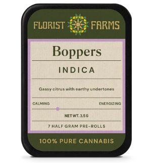 Boppers