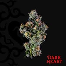 Sugar Kushions Dark Heart Sugar Kushions Dark Heart