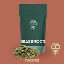 Sugar Moon Mints Grassroots Sugar Moon Mints Grassroots