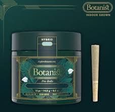 Strawberry Bubbles The Botanist