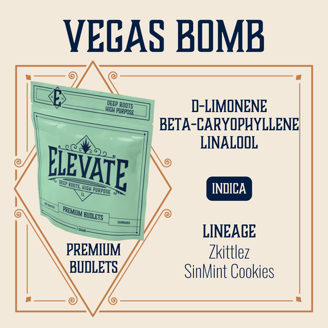 Vegas Bomb Elevate Vegas Bomb Elevate