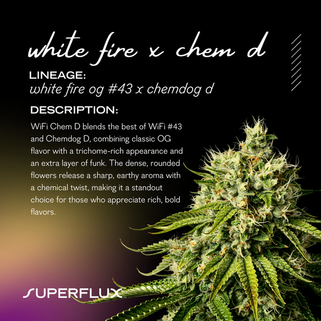 White Fire x Chem D Superflux