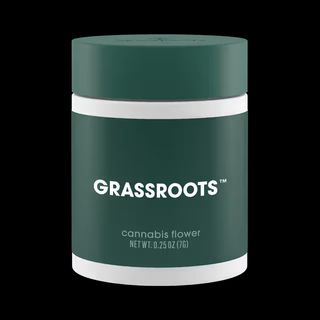 Wild Garlic Grassroots