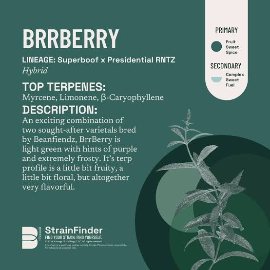 BrrBerry The Botanist