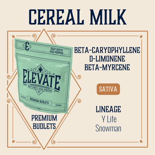 Black Maple Elevate
