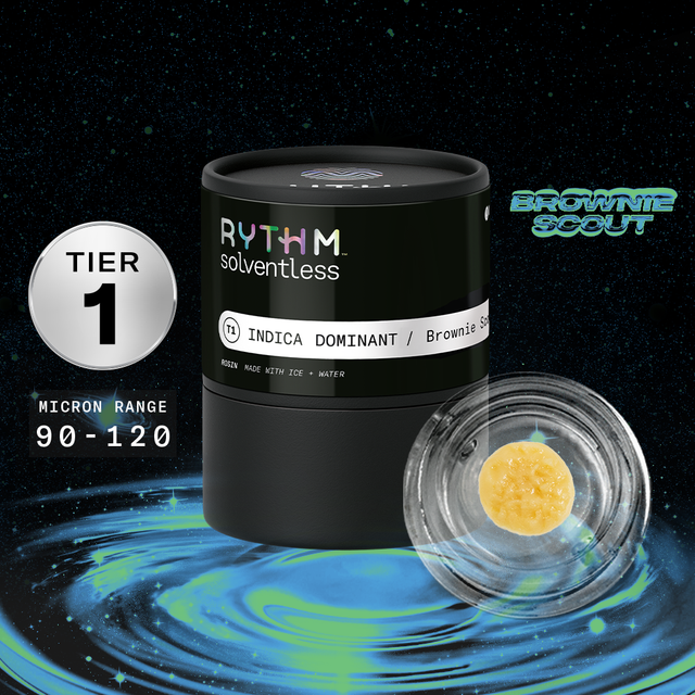 Brownie Scout Tier 1 Rythm