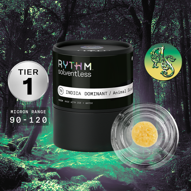 Animal Scout Tier 1 Rythm