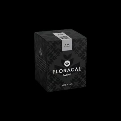 Honey Runtz Floracal