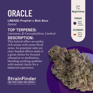 Cannabis Promo, Cannabis Sales, Cannabis Discounts, Cannabis on Sale, 40% off the Botanist flower 2