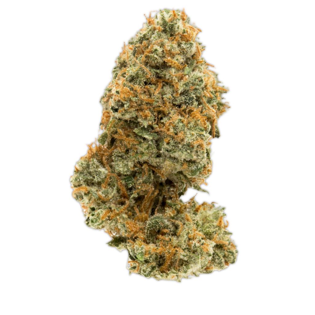 Ghost Train Mimosa