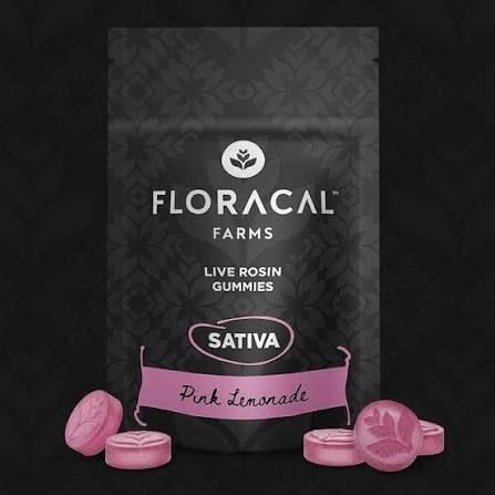 Pink Lemonade Strawberry Barbara Floracal Pink Lemonade Strawberry Barbara Floracal