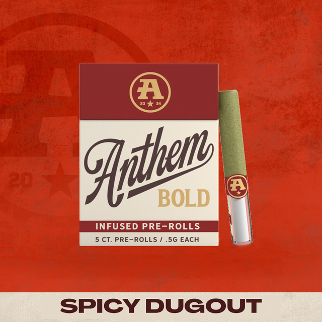 Spicy Dugout Anthem Bold