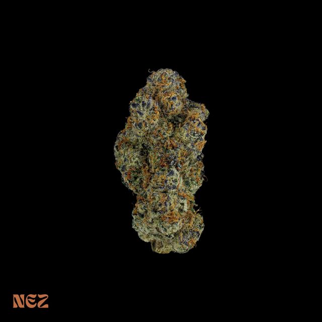 Swampwater Fumez Nez