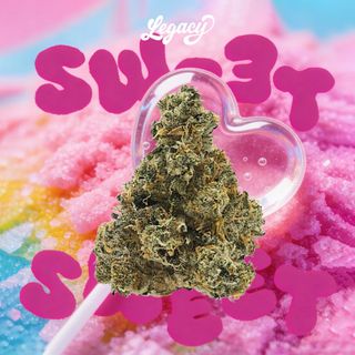 Cannabis Promo, Cannabis Sales, Cannabis Discounts, Cannabis on Sale, 30% off Legacy brands 2