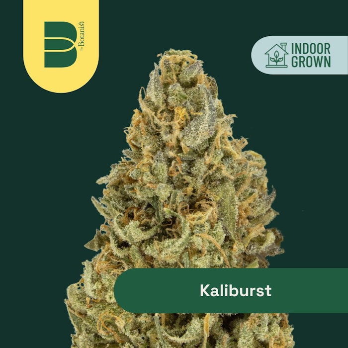 Kaliburst