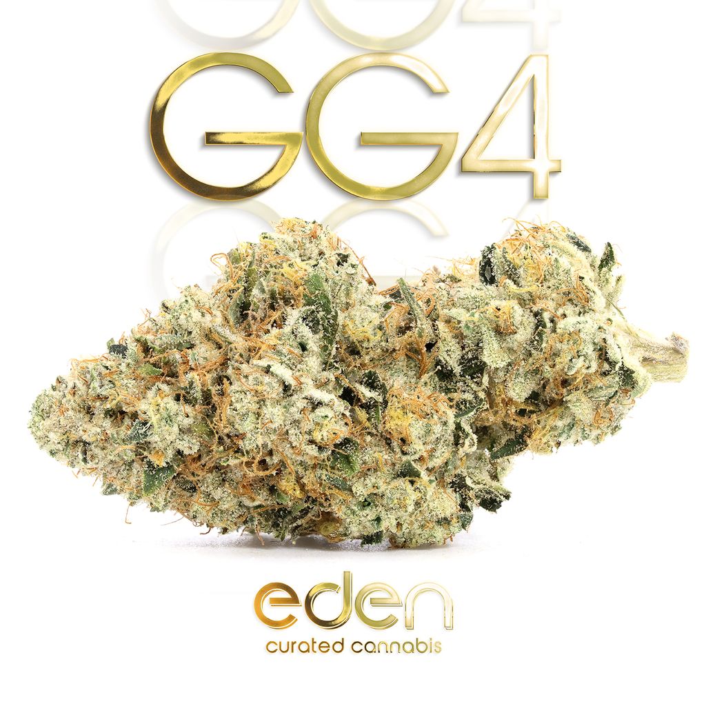 GG4