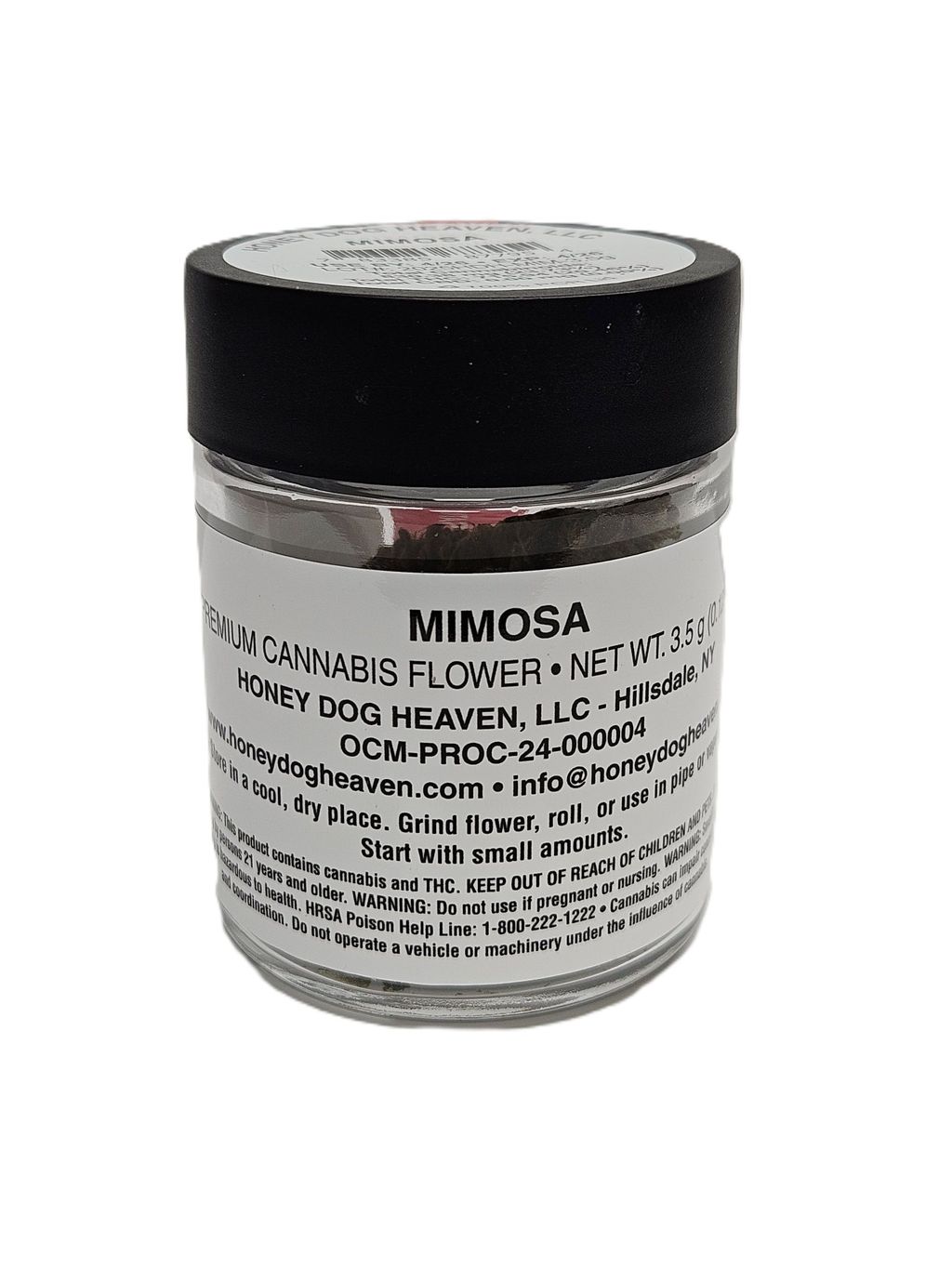 Mimosa