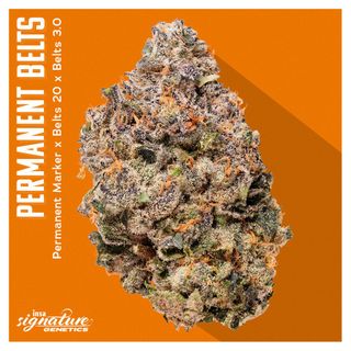 Cannabis Promo, Cannabis Sales, Cannabis Offers, Cannabis on Sale, INSA: All 3.5g Flower $20 3