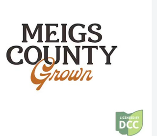 Rainbow Guava Meigs County Grown