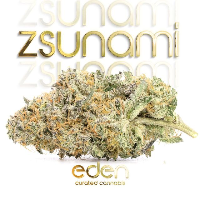 Zsunami