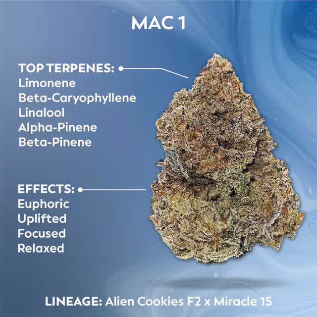 MAC 1