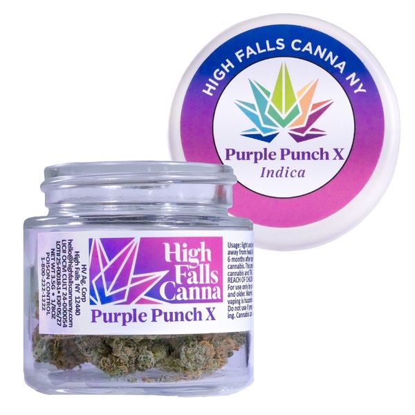 Purple Punch X High Falls Canna