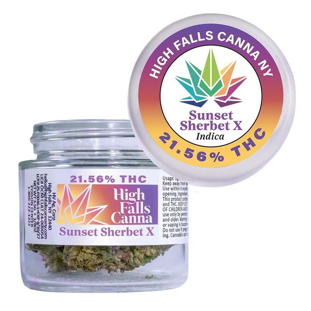 Sunset Sherbet X High Falls Canna